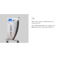 LDM